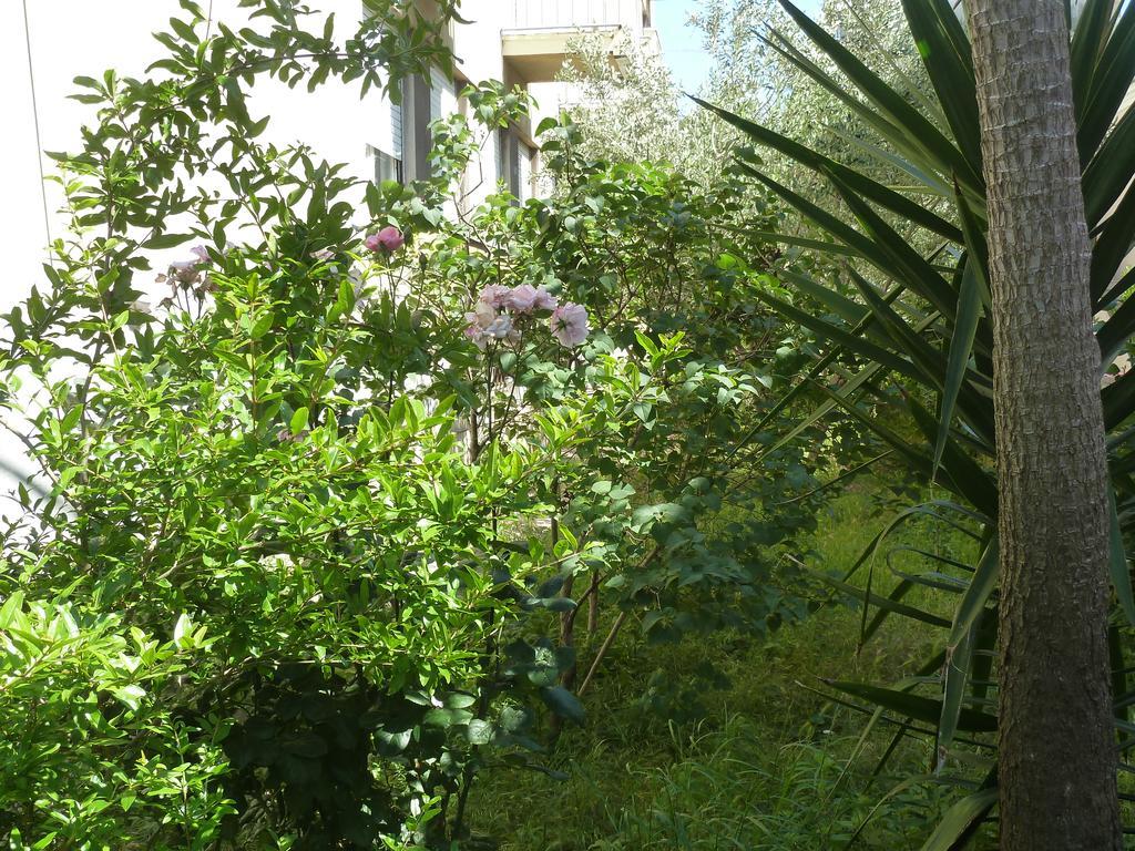 Apartment Marina Zadar Dış mekan fotoğraf
