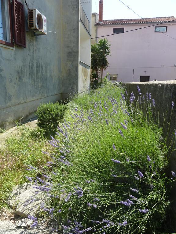 Apartment Marina Zadar Dış mekan fotoğraf